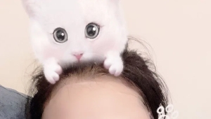 刚下海的小妹妹求鉴定