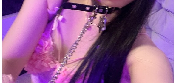 私藏的宠物听话能处