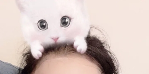 刚下海的小妹妹求鉴定